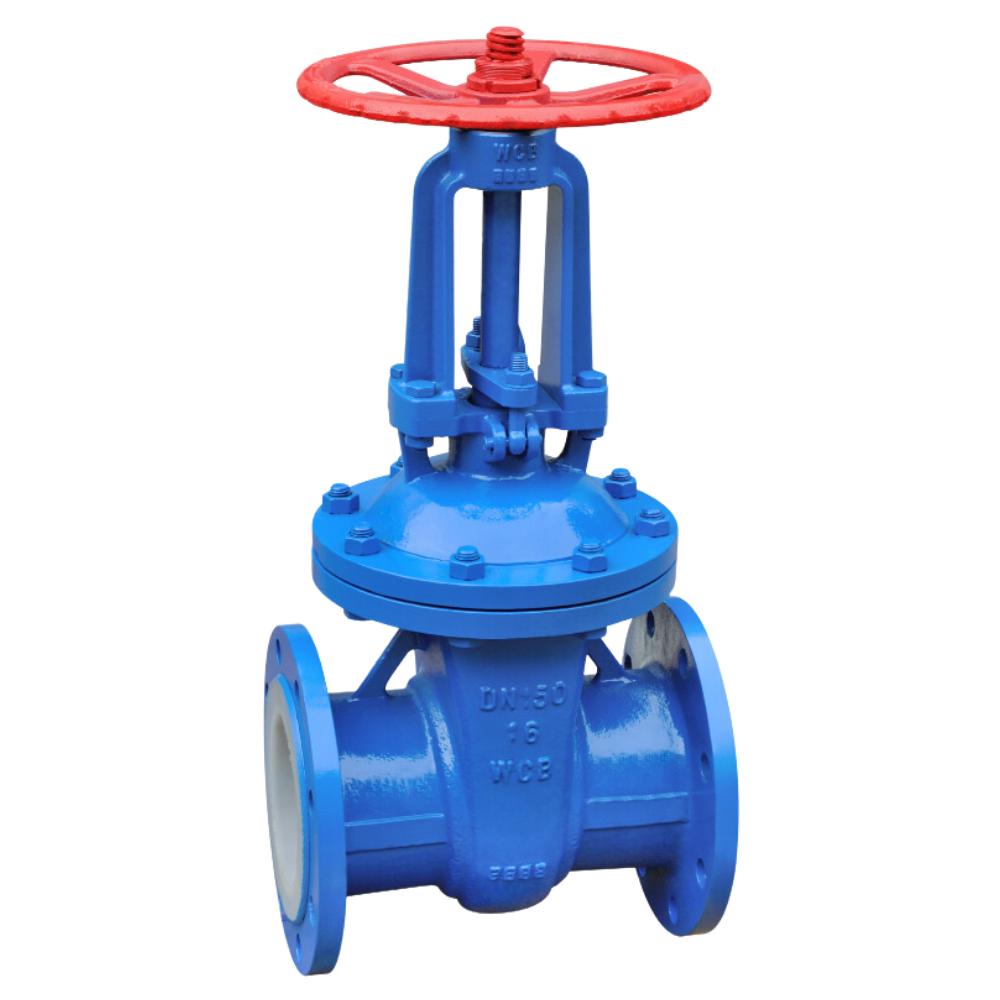 Fluorine lined gate valve